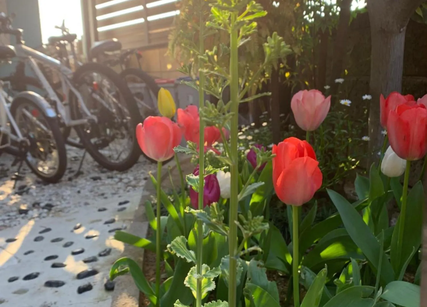 幽舍の庭 Apartment Izumisano Homestay