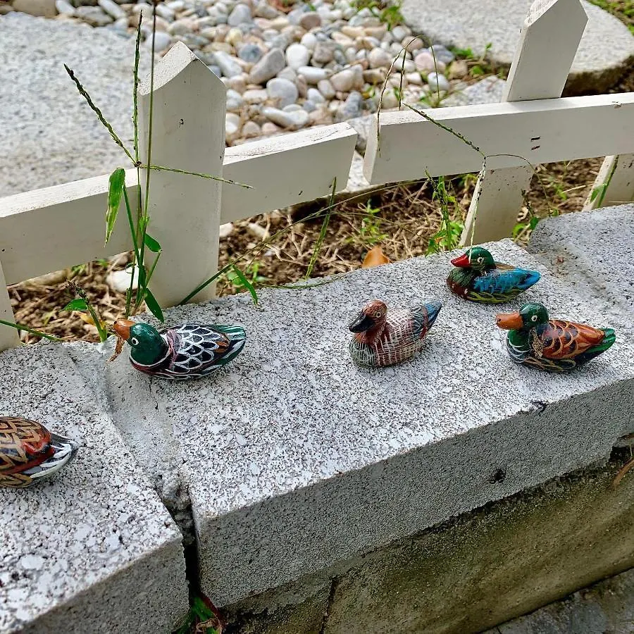 幽舍の庭 Apartment Izumisano 0*,  Japan